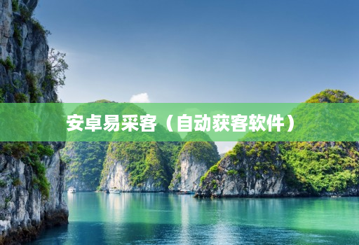 安卓易采客(自动获客软件)