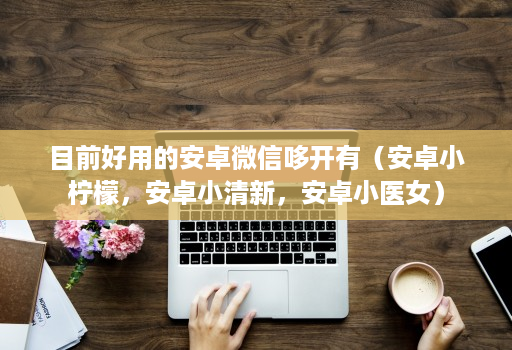 目前好用的安卓微信哆开有(安卓小柠檬,安卓小清新,安卓小医女)