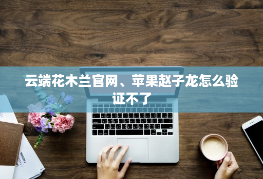 云端花木兰官网、苹果赵子龙怎么验证不了