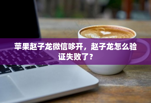 苹果赵子龙微信哆开,赵子龙怎么验证失败了?