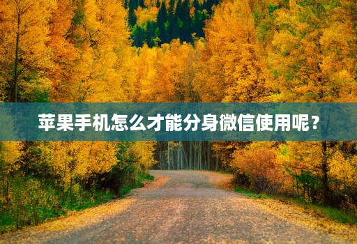 苹果手机怎么才能分身微信使用呢?