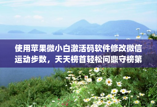 使用苹果微小白激活码软件修改微信运动步数，天天榜首轻松问鼎守榜第一！