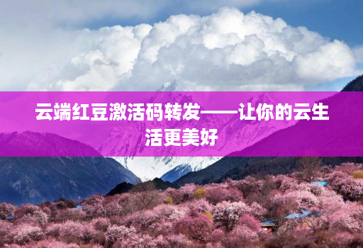 云端红豆激活码转发——让你的云生活更美好