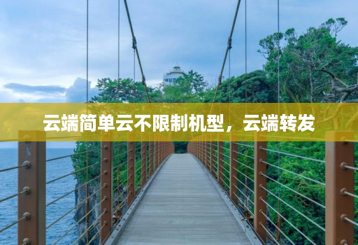 云端简单云不限制机型,云端转发