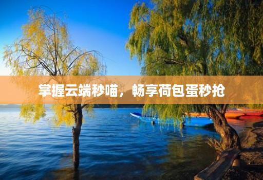 掌握云端秒喵,畅享荷包蛋秒抢