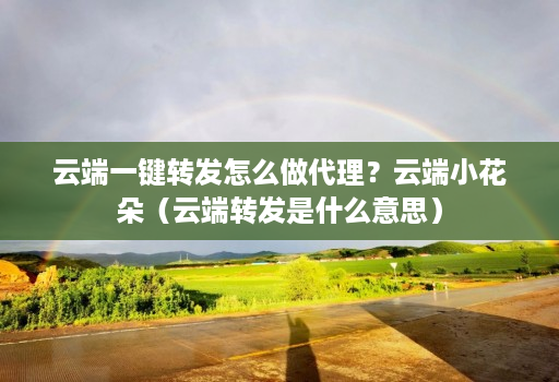 云端一键转发怎么做代理？云端小花朵（<strong>云端转发</strong>是什么意思）