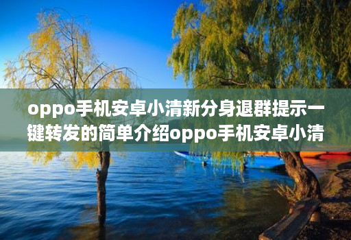 oppo手机安卓小清新分身退群提示一键转发的简单介绍oppo手机安卓小清新分身退群提示一键转发的简单介绍