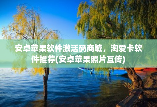 安卓苹果软件激活码商城,淘爱卡软件推荐(安卓苹果照片互传)