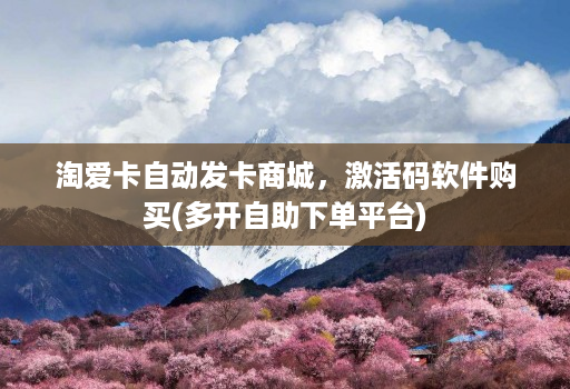 淘爱卡自动发卡商城,激活码软件购买(多开自助下单平台)