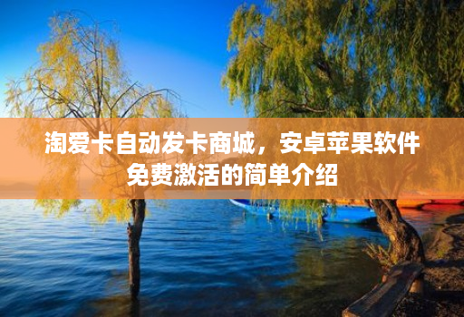 淘爱卡自动发卡商城,安卓苹果软件免费激活的简单介绍