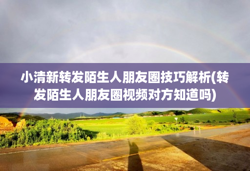 小清新转发陌生人朋友圈技巧解析(转发陌生人朋友圈视频对方知道吗)
