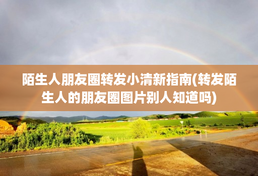 陌生人朋友圈转发小清新指南(转发陌生人的朋友圈图片别人知道吗)