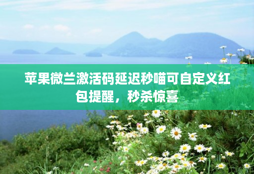 苹果微兰激活码延迟秒喵可自定义红包提醒,秒杀惊喜 苹果微兰激活码延迟秒喵可自定义红包提醒,秒杀惊喜