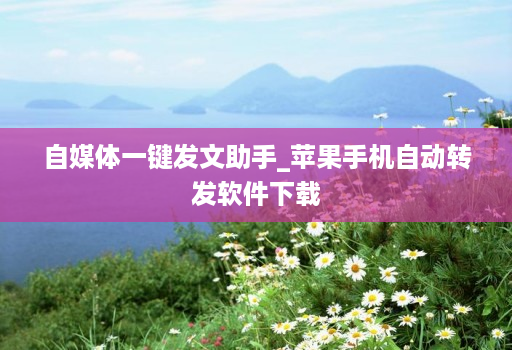 自媒体一键发文助手_苹果手机自动转发软件下载