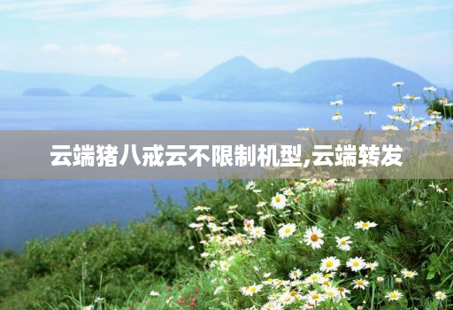 云端猪八戒云不限制机型,云端转发