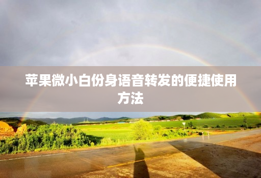 苹果微小白份身语音转发的便捷使用方法