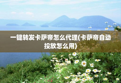 一键转发卡萨帝怎么代理(卡萨帝自动投放怎么用)