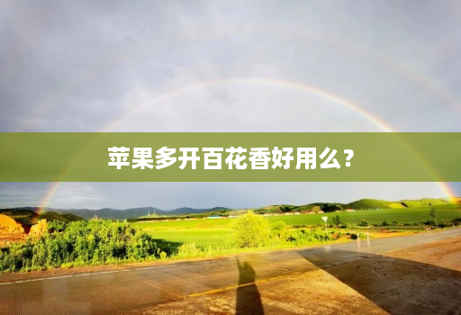 苹果多开百花香好用么？