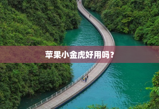 苹果小金虎好用吗？