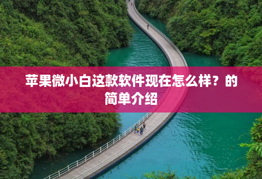 苹果微小白这款软件现在怎么样?的简单介绍