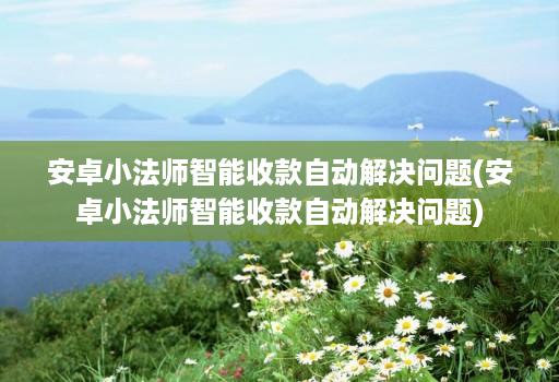 安卓小法师智能收款自动解决问题(安卓小法师智能收款自动解决问题) 安卓小法师智能收款自动解决问题(安卓小法师智能收款自动解决问题)