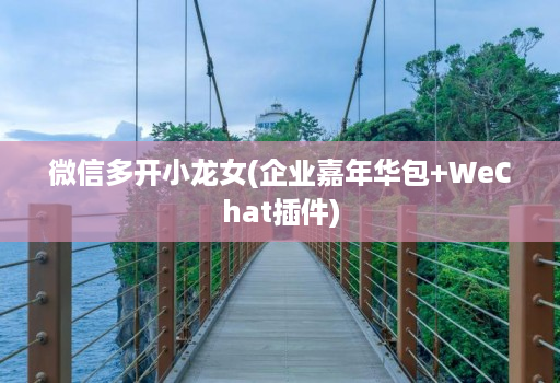 微信多开小龙女(企业嘉年华包+WeChat插件)