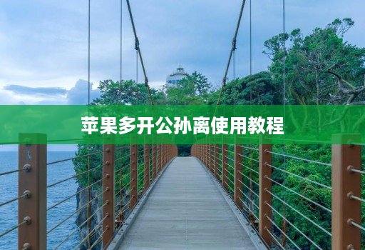 苹果多开公孙离使用教程