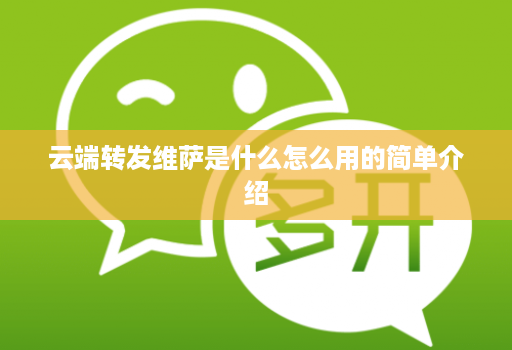 云端转发维萨是什么怎么用的简单介绍