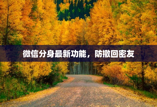 微信分身最新功能,防撤回密友 微信分身最新功能,防撤回密友