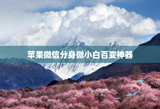 苹果微信分身微小白百变神器