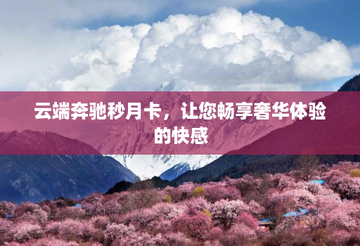 云端奔驰秒月卡,让您畅享奢华体验的快感