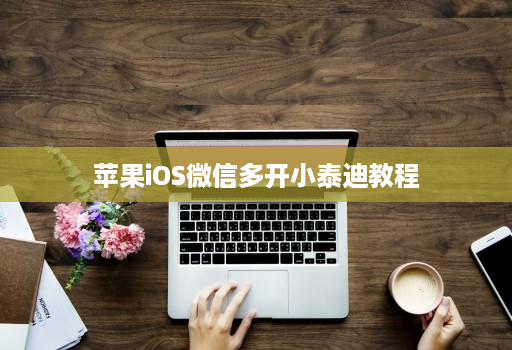苹果iOS微信多开小泰迪教程