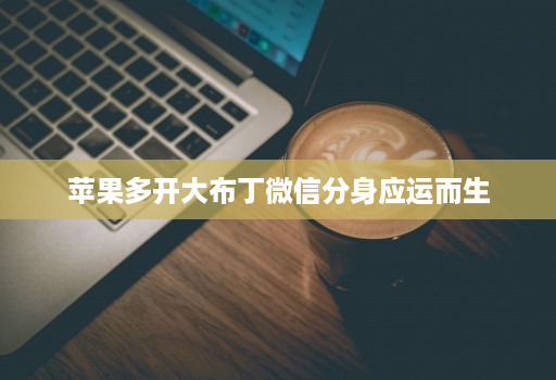 苹果多开大布丁微信分身应运而生