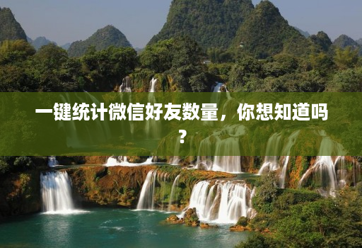 一键统计微信好友数量,你想知道吗?