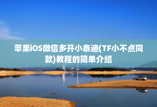 苹果iOS微信多开小泰迪(TF小不点同款)教程的简单介绍