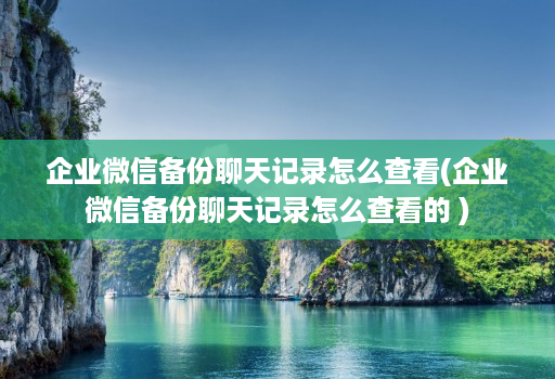 企业微信备份聊天记录怎么查看(企业微信备份聊天记录怎么查看的 ) 企业微信备份聊天记录怎么查看(企业微信备份聊天记录怎么查看的 )