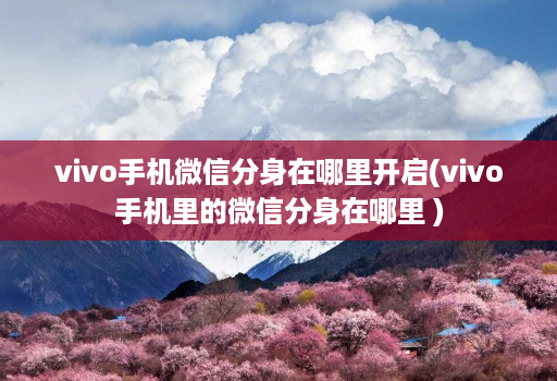 vivo手机微信分身在哪里开启(vivo手机里的微信分身在哪里 )
