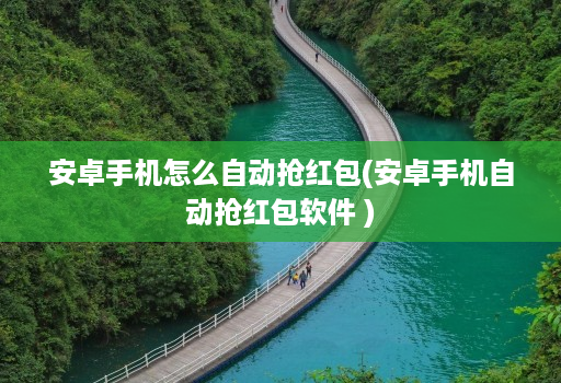 安卓手机怎么自动抢红包(安卓手机自动抢红包软件 )