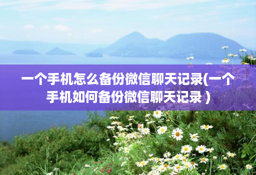 一个手机怎么备份微信聊天记录(一个手机如何备份微信聊天记录 )