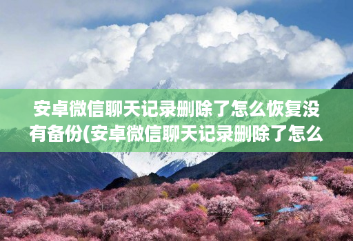 安卓微信聊天记录删除了怎么恢复没有备份(安卓微信聊天记录删除了怎么恢复没有备份 )