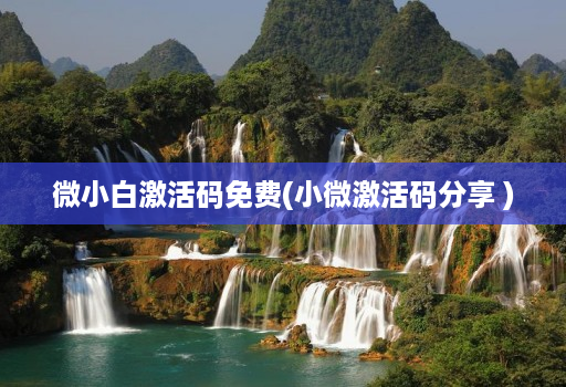 微小白激活码免费(小微激活码分享 )