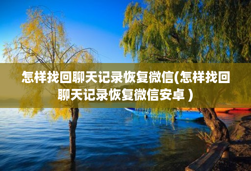 怎样找回聊天记录恢复微信(怎样找回聊天记录恢复微信安卓 )