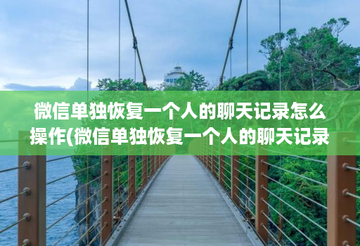 微信单独恢复一个人的聊天记录怎么操作(微信单独恢复一个人的聊天记录怎么操作视频 )