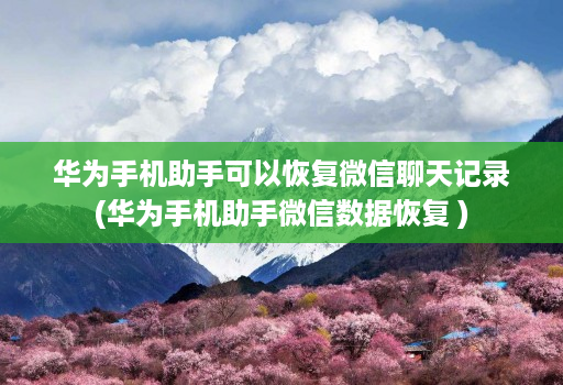 华为手机助手可以恢复微信聊天记录(华为手机助手微信数据恢复 )