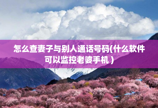 怎么查妻子与别人通话号码(什么软件可以监控老婆手机 )