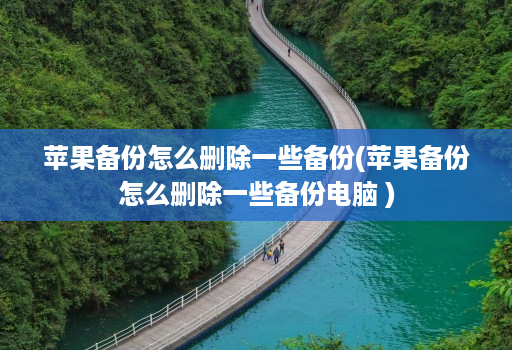 苹果备份怎么删除一些备份(苹果备份怎么删除一些备份电脑 )