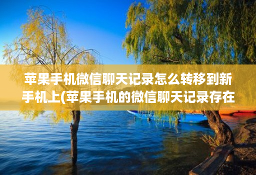 苹果手机微信聊天记录怎么转移到新手机上(苹果手机的微信聊天记录存在哪里 )