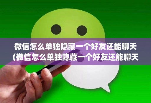 微信怎么单独隐藏一个好友还能聊天(微信怎么单独隐藏一个好友还能聊天呢 )