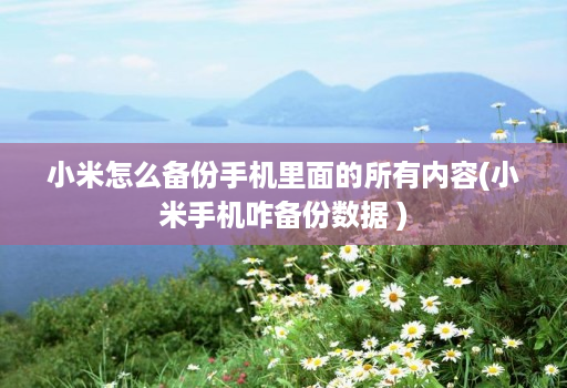 小米怎么备份手机里面的所有内容(小米手机咋备份数据 )
