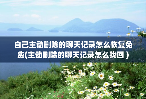 自己主动删除的聊天记录怎么恢复免费(主动删除的聊天记录怎么找回 )